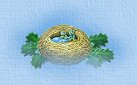 Nest