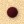 bullet